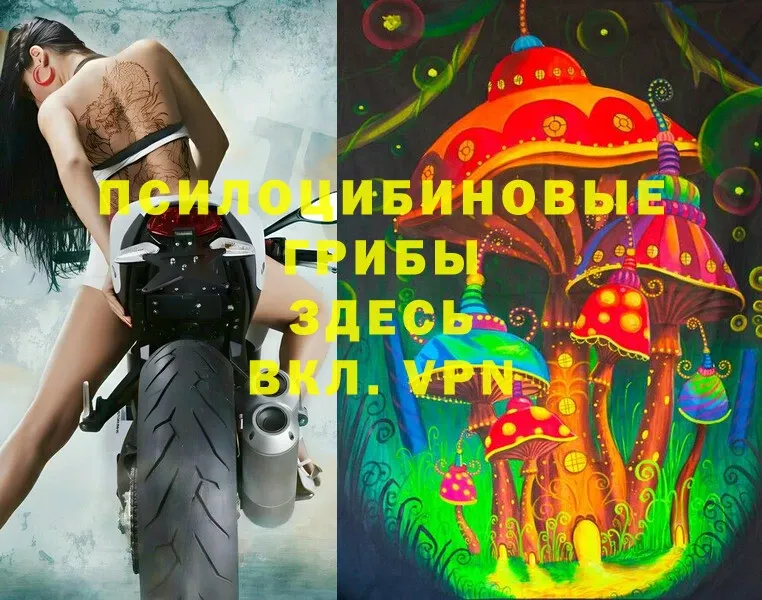 купить наркотики цена  Мыски  Псилоцибиновые грибы MAGIC MUSHROOMS 